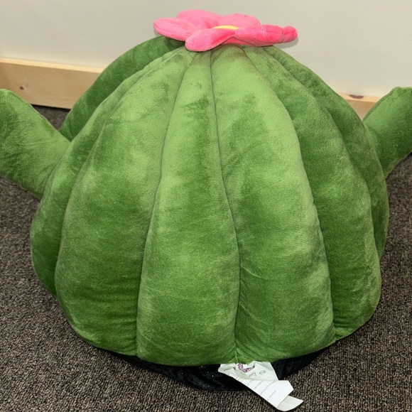 Cactus Cat Bed - Picture 4 of 7